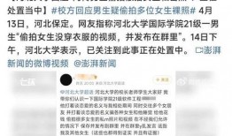 河北大学爆料事件最新,真相与争议交织的校园风云